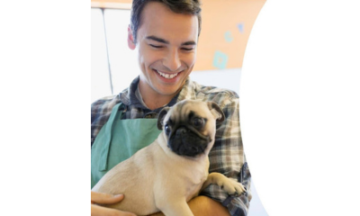 Naadiga xoolaha