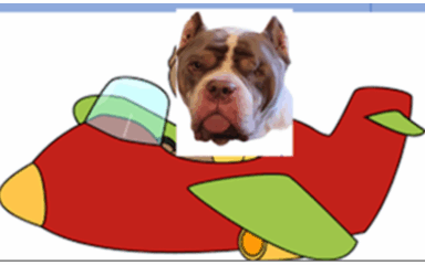 Kani ama Taas Adventure 3-5